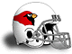 Arizona Cardinals